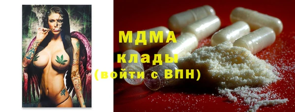 ПСИЛОЦИБИНОВЫЕ ГРИБЫ Осинники