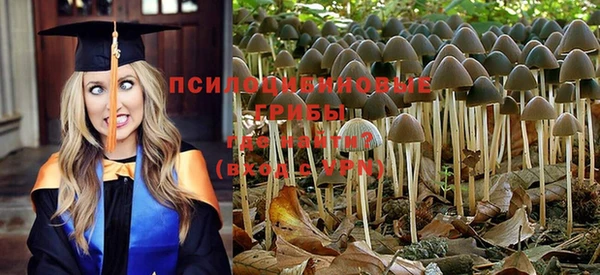 мдма Осташков