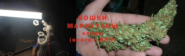 ПСИЛОЦИБИНОВЫЕ ГРИБЫ Осинники