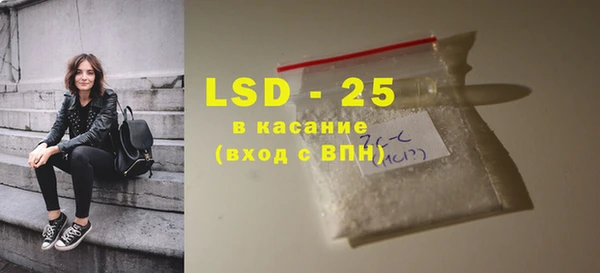 ПСИЛОЦИБИНОВЫЕ ГРИБЫ Осинники