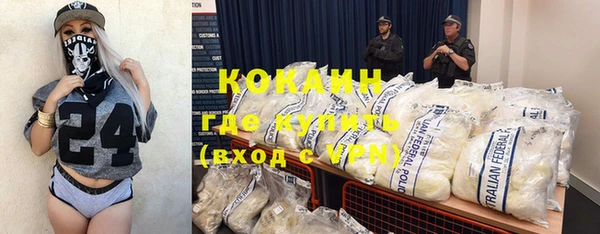 ПСИЛОЦИБИНОВЫЕ ГРИБЫ Осинники