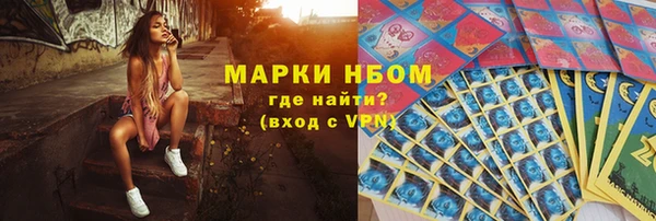 ПСИЛОЦИБИНОВЫЕ ГРИБЫ Осинники